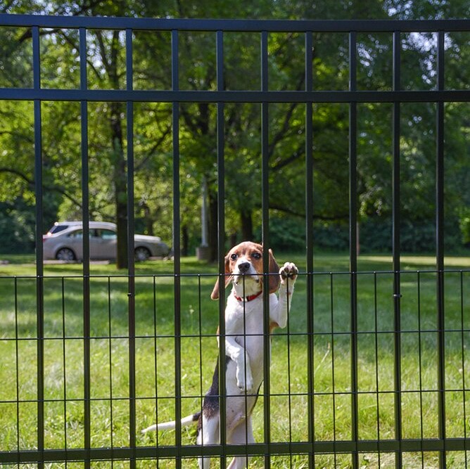 Jerith SafetyPup Mesh - Naples Florida